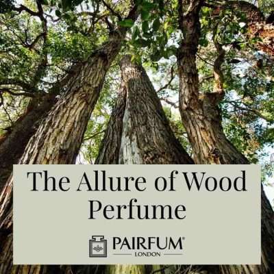 Allure Of Wood Perfume