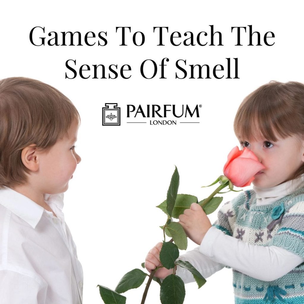 Games To Teach The Sense Of Smell