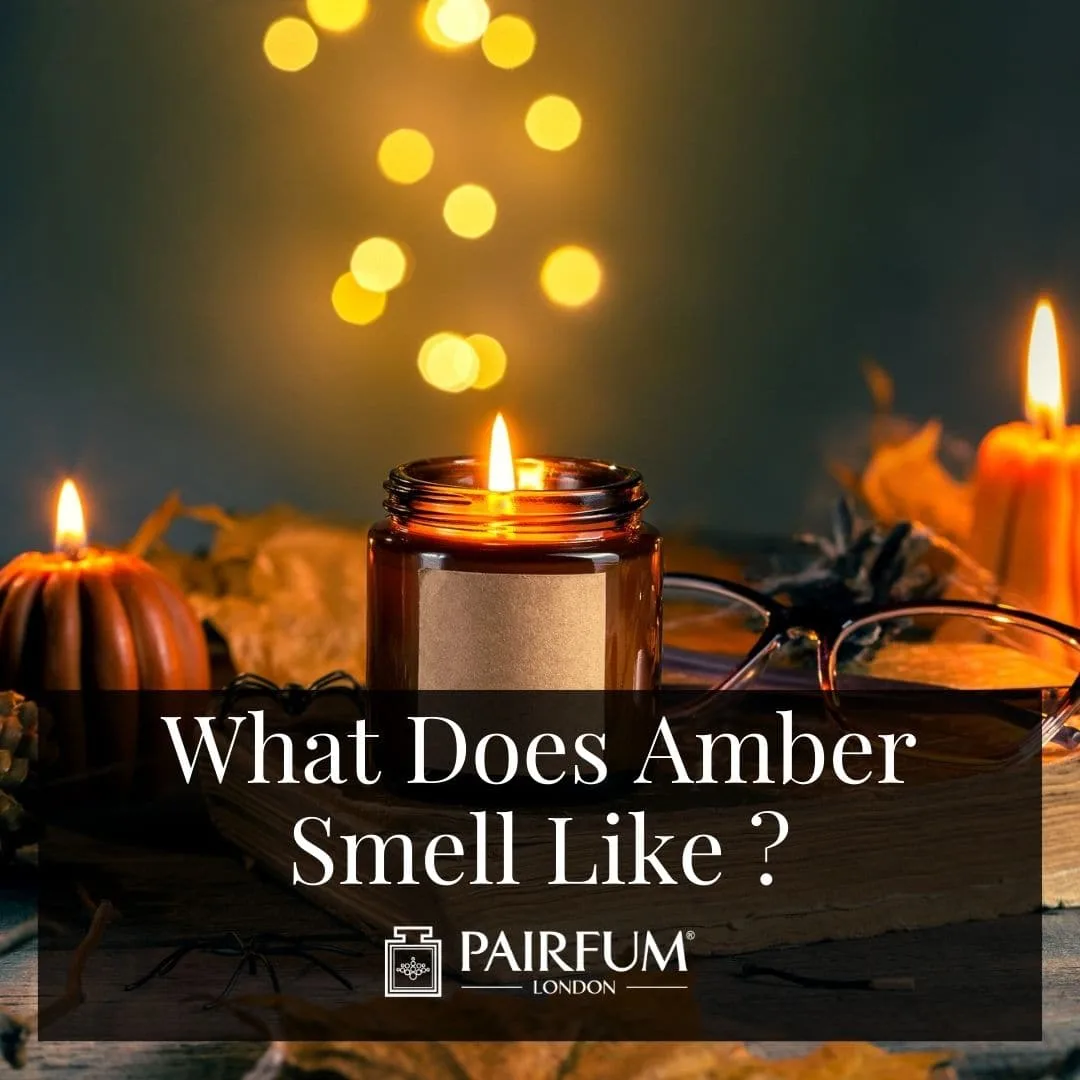 What Does Amber Smell Like?