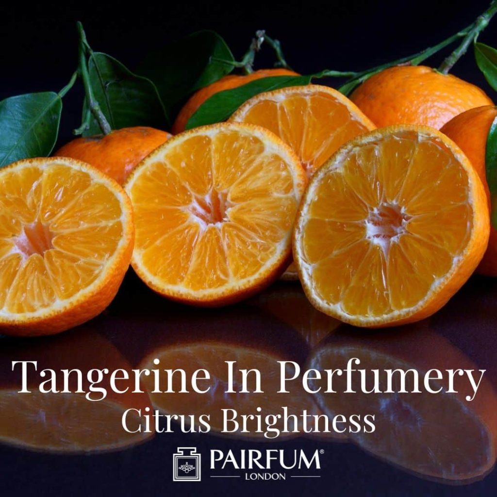 Tangerine In Perfumery