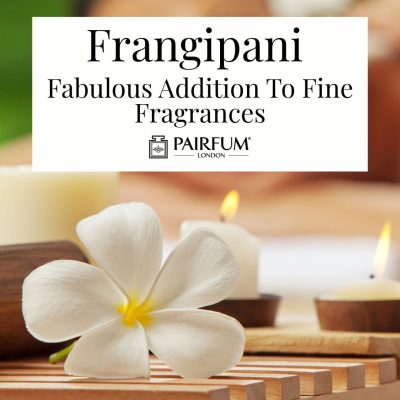 Frangipani Fragrance