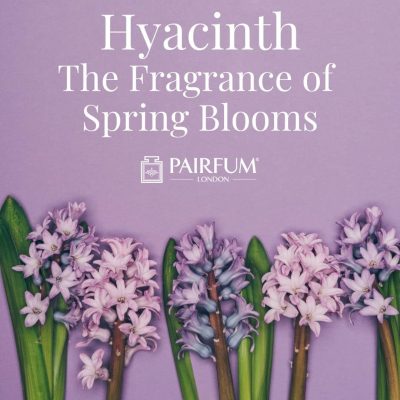 Hyacinth