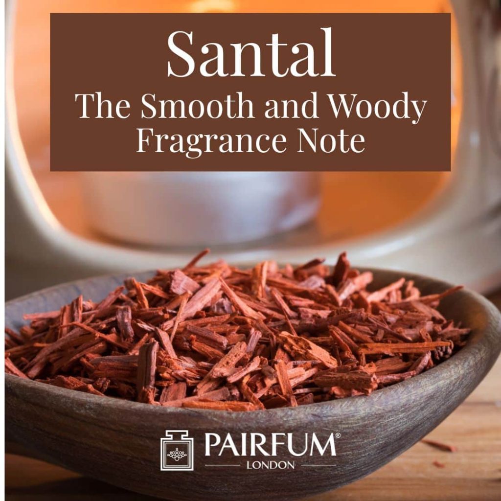 Santal In Fragrance