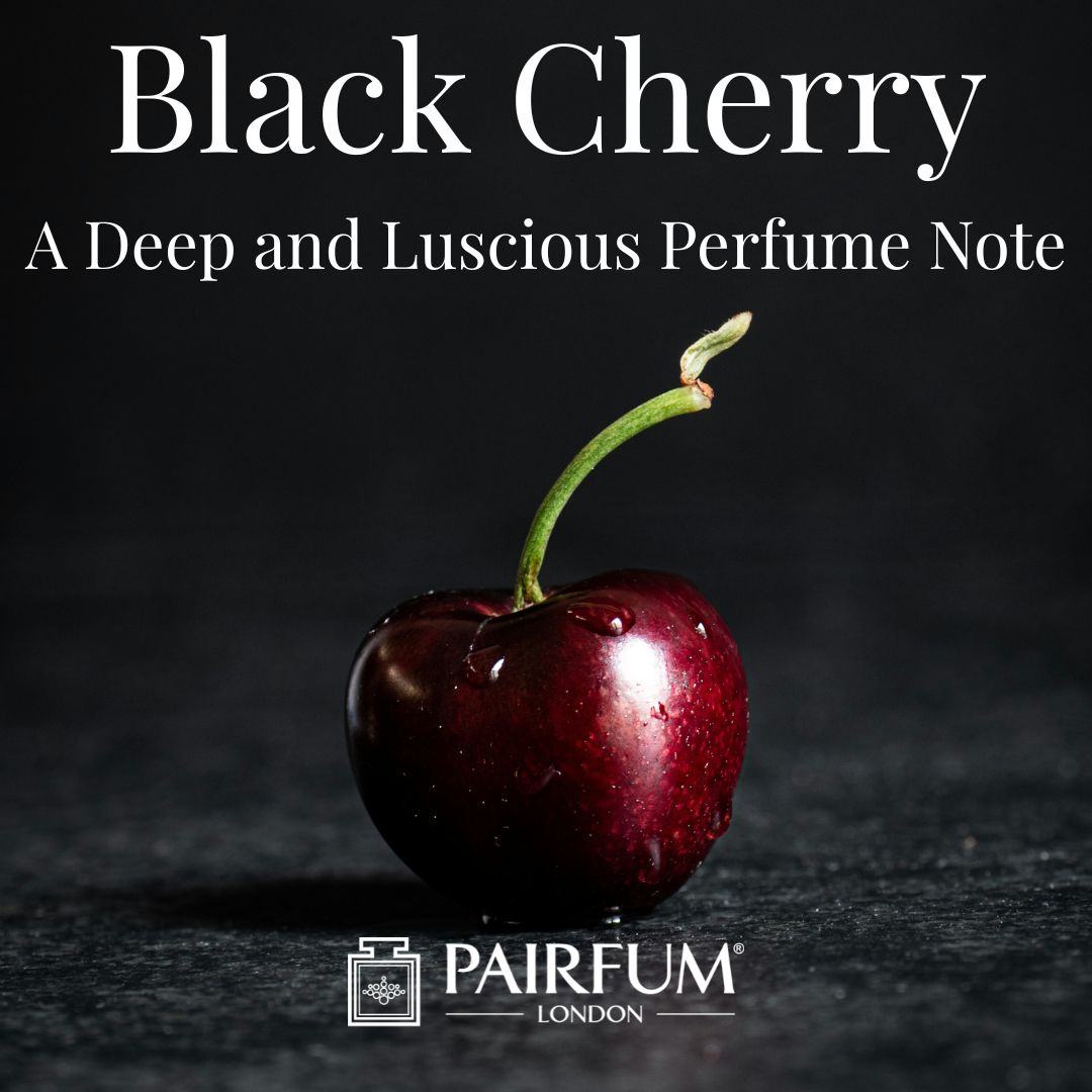 Black Cherry Perfume Note