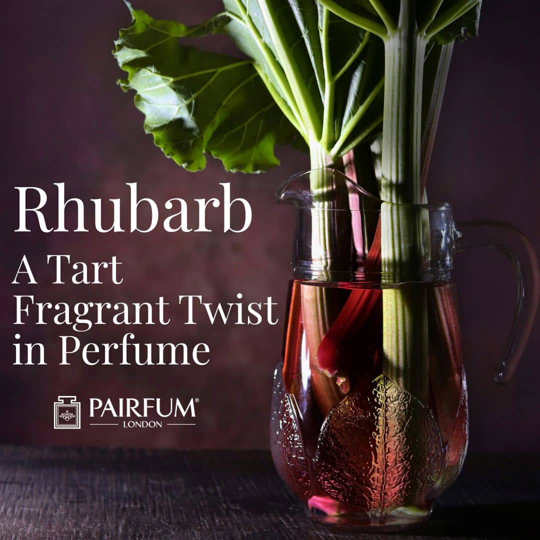 Rhubarb In Perfume