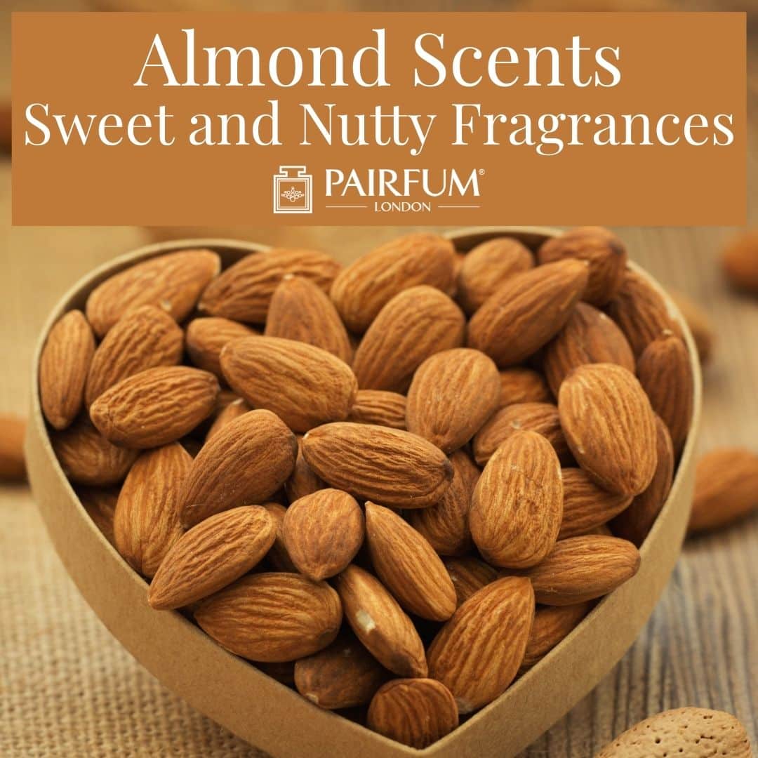 Sweet Almond