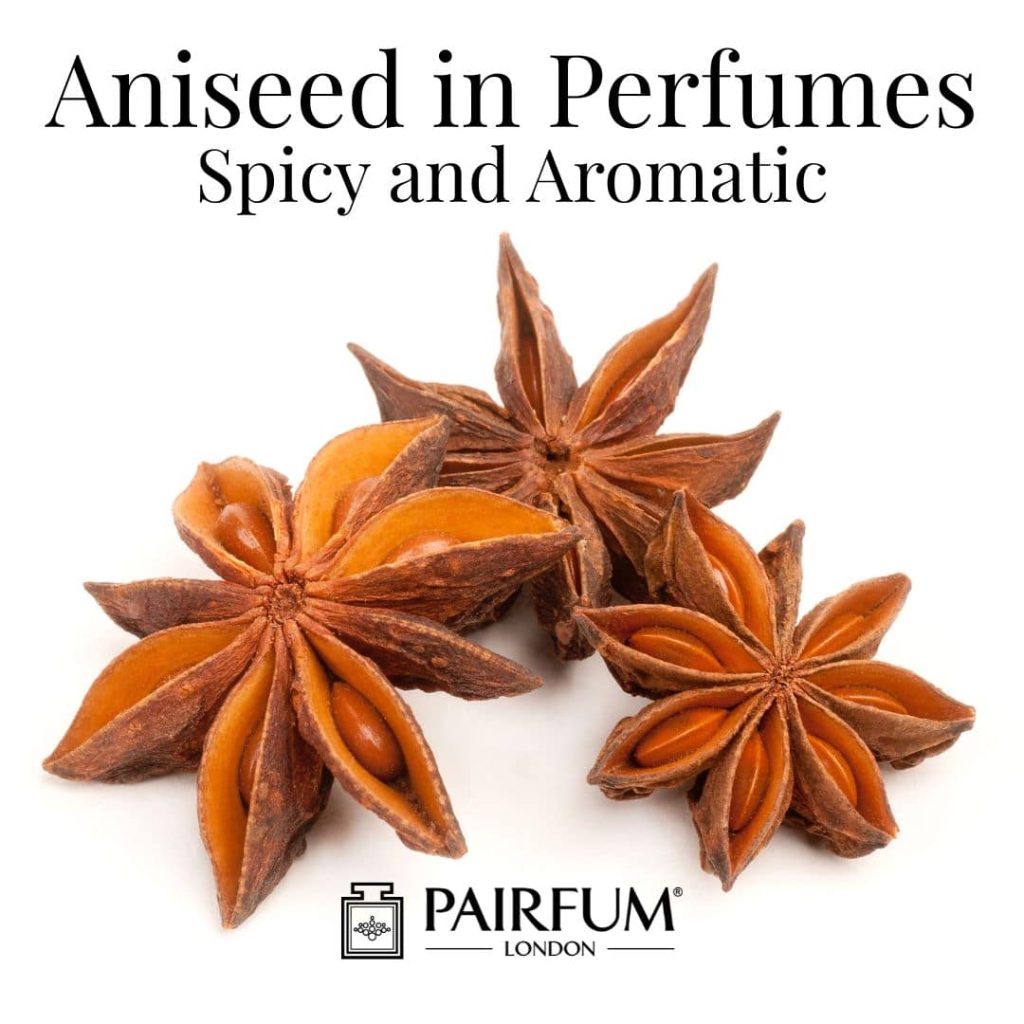 Aniseed In Perfumes
