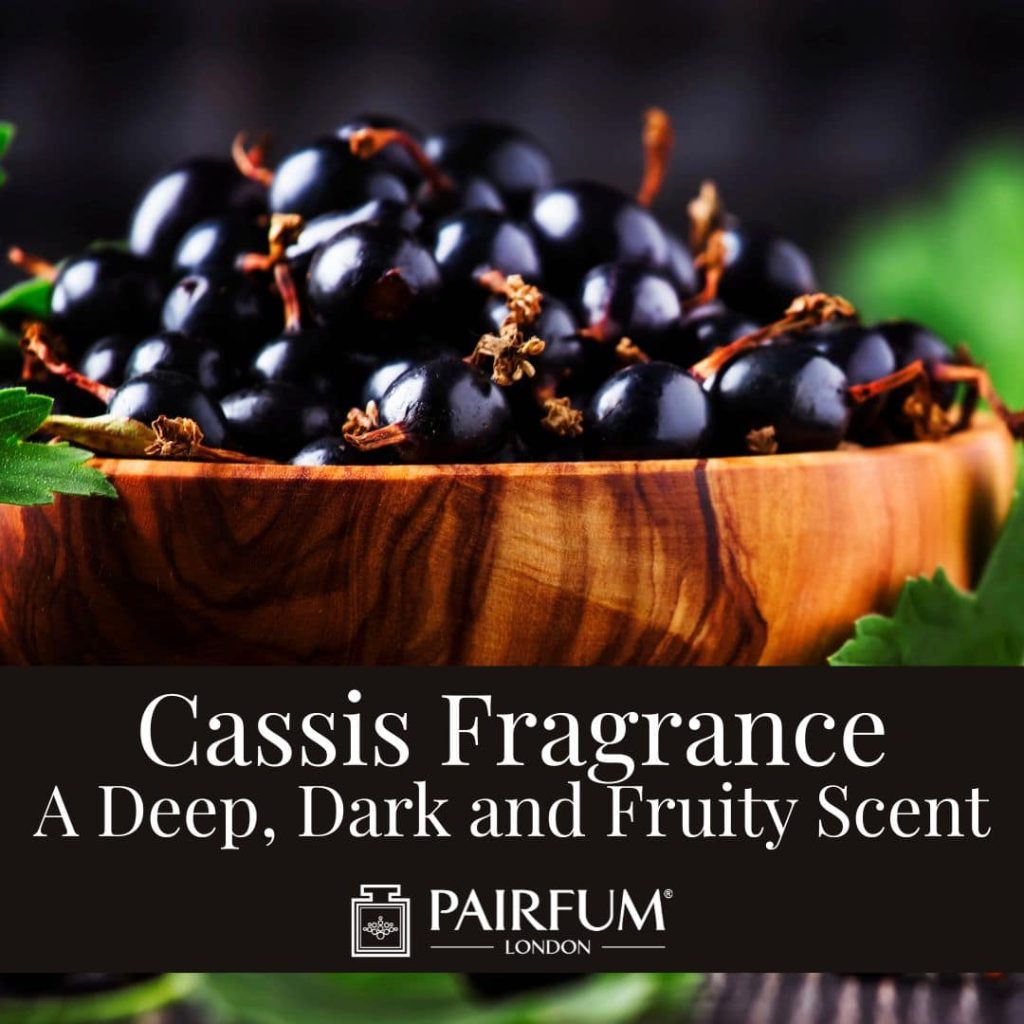 Cassis Fragrance