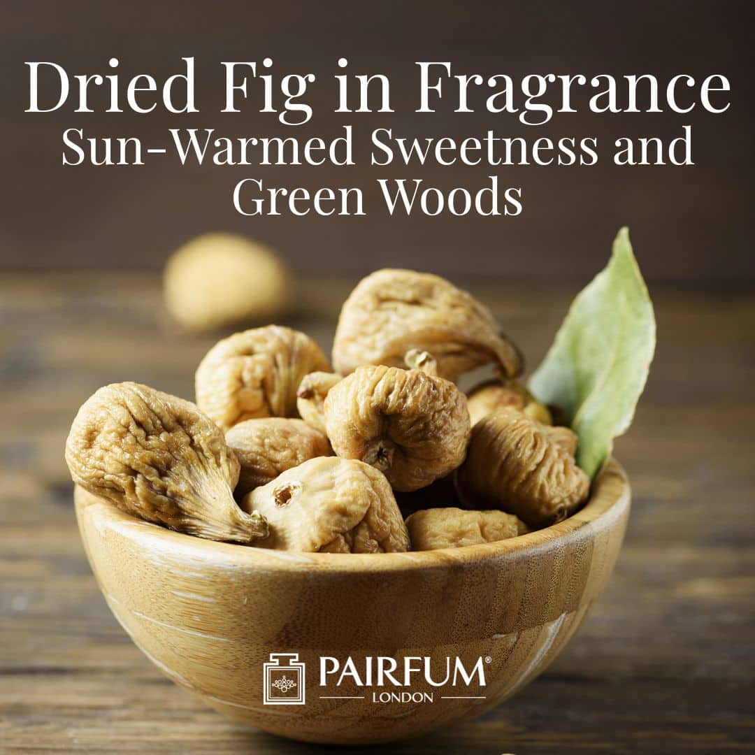 Dried Fig In Fragrance