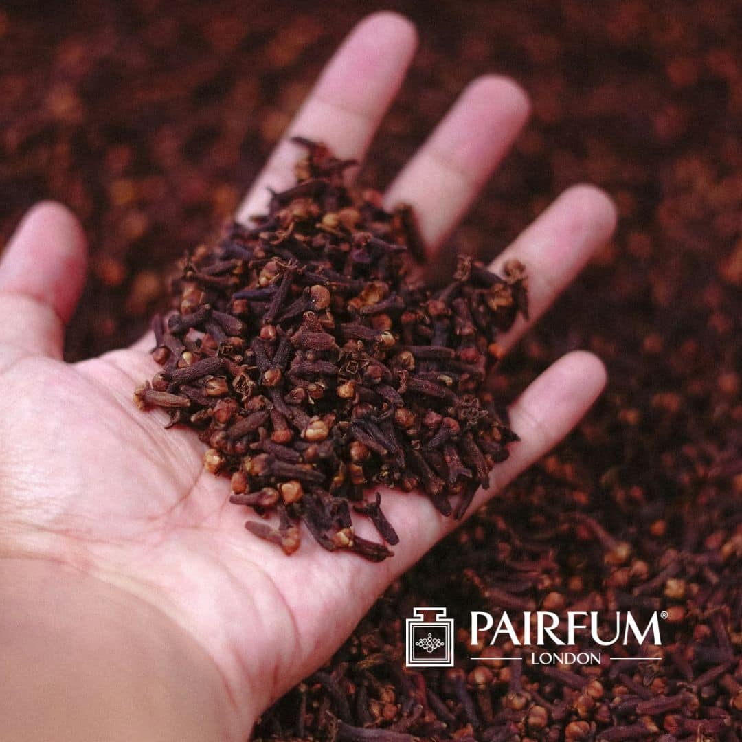 Handful Of Clove