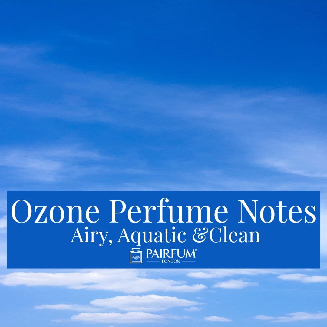 Ozone Perfume Notes