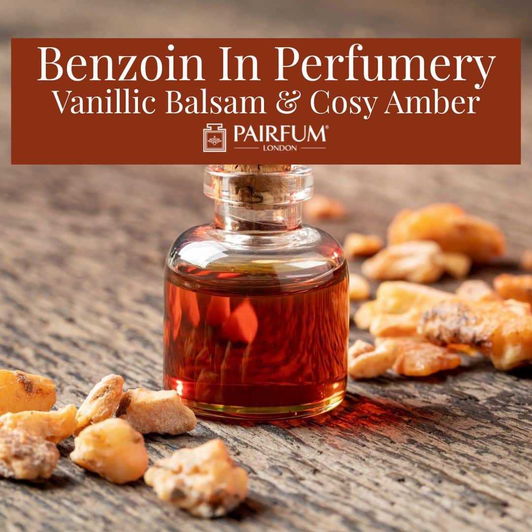 Benzoin In Perfumery