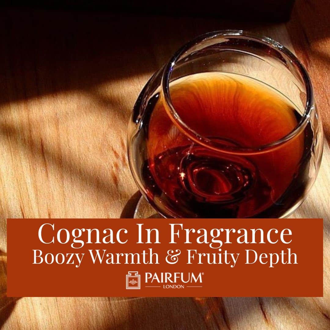 Cognac In Fragrance