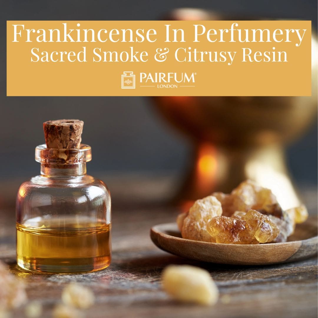 Frankincense In Perfumery