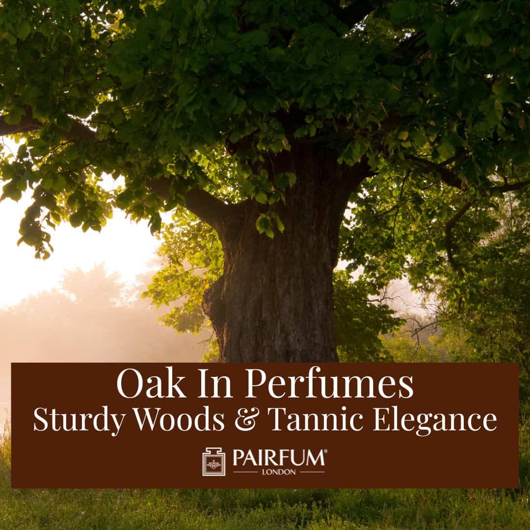 Oak In Perfumes