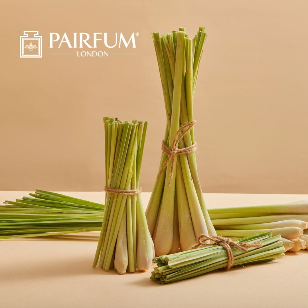 Lemongrass Stalks