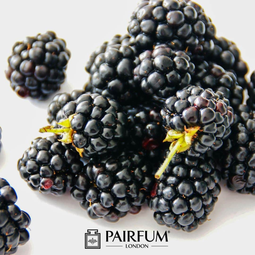 Blackberry In Perfume
