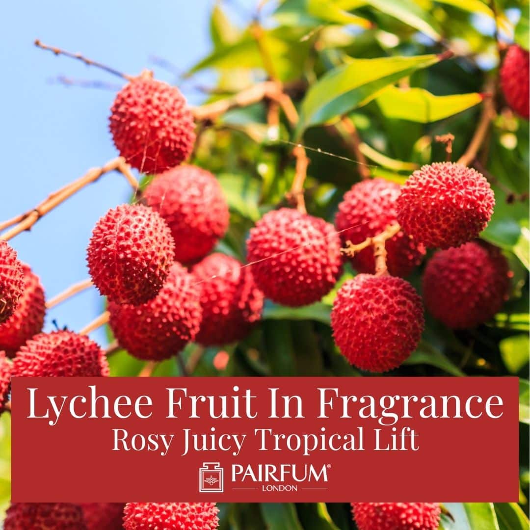 Lychee Fruit In Fragrance