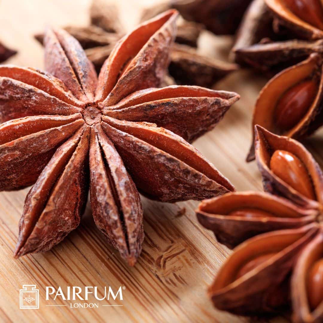 Star Anise Close Up