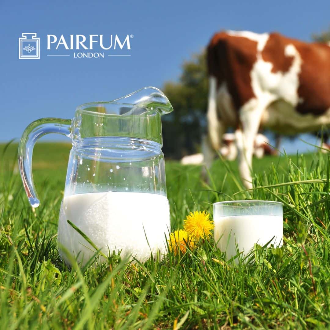 Natural Milk Fragrance Natural Milk Fragrance