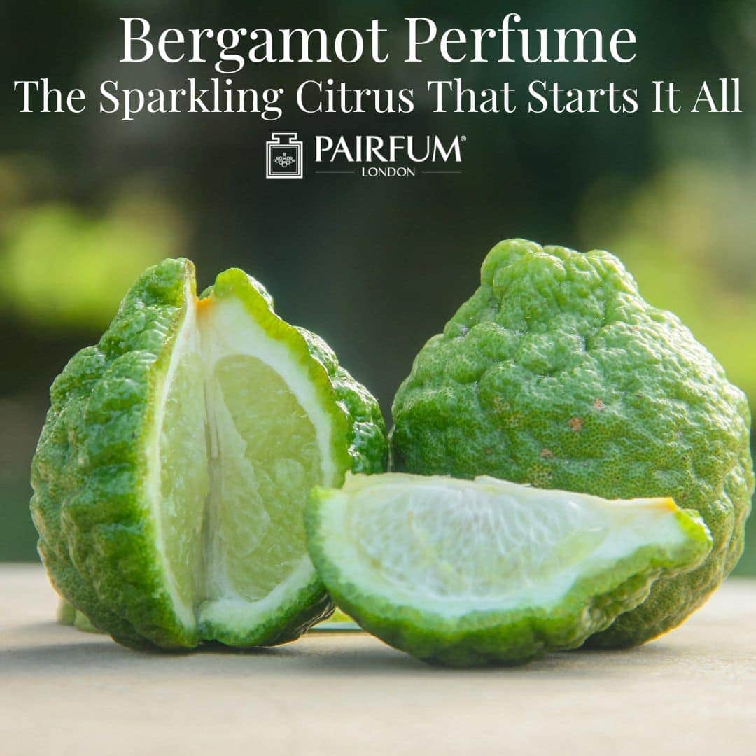 Bergamot Perfume