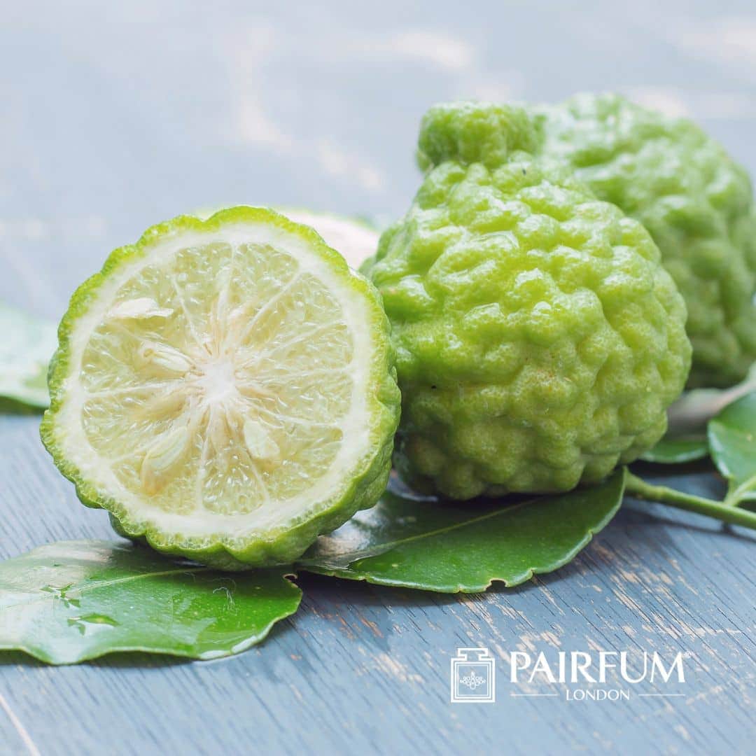 Fresh Bergamot Perfume Ingredients