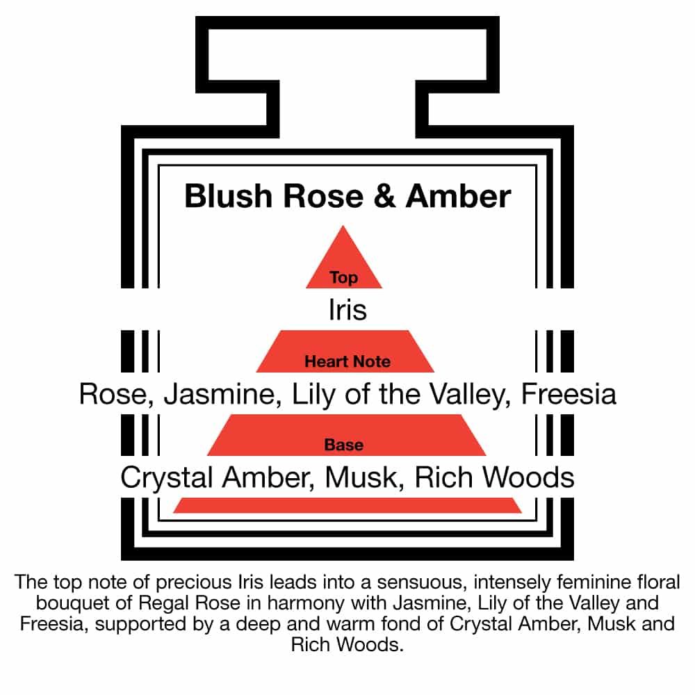 Fragrance Description Blush Rose Amber Jasmine Freesia Wood