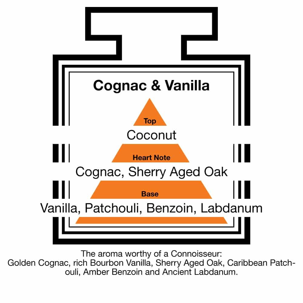Fragrance Description Cognac Vanilla Coconut Patchouli Benzoin Labdanum