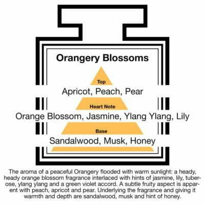 Fragrance Description Orangery Blossoms Apricot Ylang Honey Sandalwood