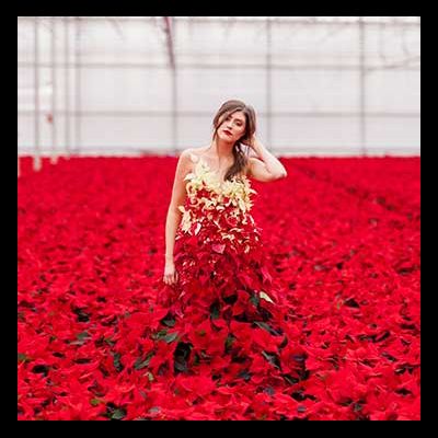 PAIRFUM Poinsettia Day Home Fragrance Flower Dress Set PAIRFUM Poinsettia Day Home Fragrance Flower Dress Set