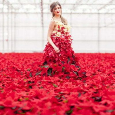 PAIRFUM Poinsettia Day Home Fragrance Flower Dress Standing PAIRFUM Poinsettia Day Home Fragrance Flower Dress Standing