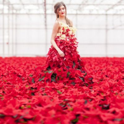 PAIRFUM Poinsettia Day Home Fragrance Flower Dress Standing PAIRFUM Poinsettia Day Home Fragrance Flower Dress Standing