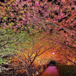 PAIRFUM room fragrance perfume candle tunnel of love photo
