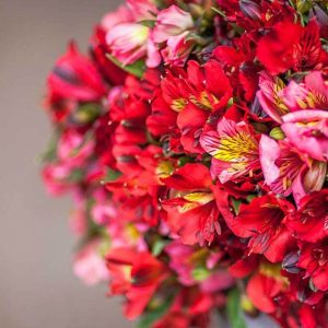 Pairfum Perfume Candle Alstroemeria Red Pink Flowers