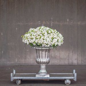 Pairfum Perfume Candle Alstroemeria White Urn