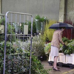 Pairfum Reed Diffuser British Flower Week Foliage Center