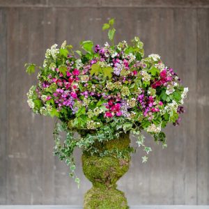 Pairfum reed diffuser british flowers week bouquet urn Pairfum reed diffuser british flowers week bouquet urn