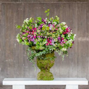 Pairfum reed diffuser british flowers week urn Pairfum reed diffuser british flowers week urn