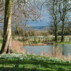 Snowdrops Great Windsor Park Perfume Snowdrops Great Windsor Park Perfume