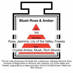 Fragrance Description Blush Rose Amber Jasmine Freesia Wood Fragrance Description Blush Rose Amber Jasmine Freesia Wood