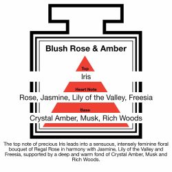 Fragrance Description Blush Rose Amber Jasmine Freesia Wood Fragrance Description Blush Rose Amber Jasmine Freesia Wood