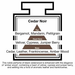 Fragrance Description Cedar Noir Vetiver Juniper Leather Frankincense Fragrance Description Cedar Noir Vetiver Juniper Leather Frankincense