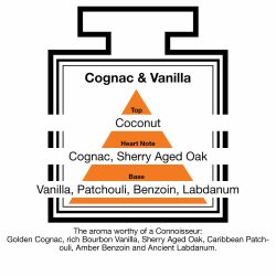 Fragrance Description Cognac Vanilla Coconut Patchouli Benzoin Labdanum Fragrance Description Cognac Vanilla Coconut Patchouli Benzoin Labdanum