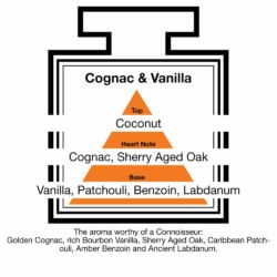 Fragrance Description Cognac Vanilla Coconut Patchouli Benzoin Labdanum Fragrance Description Cognac Vanilla Coconut Patchouli Benzoin Labdanum