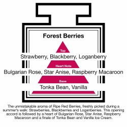 Fragrance Description Forest Berries Strawberry Blackberry Loganberry Raspberry Fragrance Description Forest Berries Strawberry Blackberry Loganberry Raspberry
