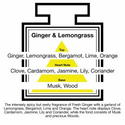 Fragrance Description Ginger Lemongrass Clove Cardamom Coriander Wood Fragrance Description Ginger Lemongrass Clove Cardamom Coriander Wood