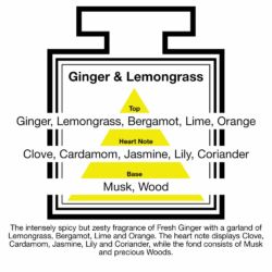 Fragrance Description Ginger Lemongrass Clove Cardamom Coriander Wood Fragrance Description Ginger Lemongrass Clove Cardamom Coriander Wood
