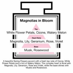 Fragrance Description Magnolias Bloom Ozone Melon Violet Rosewood Fragrance Description Magnolias Bloom Ozone Melon Violet Rosewood