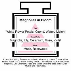 Fragrance Description Magnolias Bloom Ozone Melon Violet Rosewood Fragrance Description Magnolias Bloom Ozone Melon Violet Rosewood