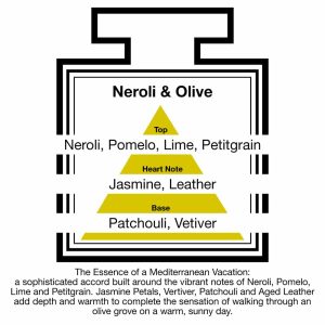 Fragrance Description Neroli Olive Pomelo Lime Leather Vetiver Fragrance Description Neroli Olive Pomelo Lime Leather Vetiver